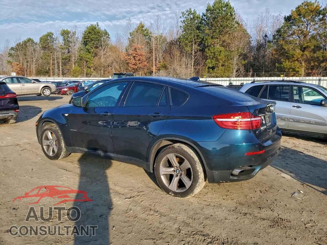 BMW X6 2014 - 5UXFG8C50EL592399