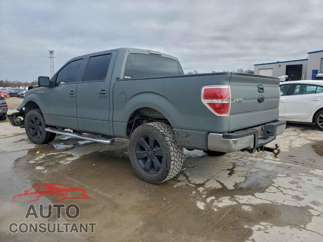 FORD F-150 2010 - 1FTEW1E80AFD24749