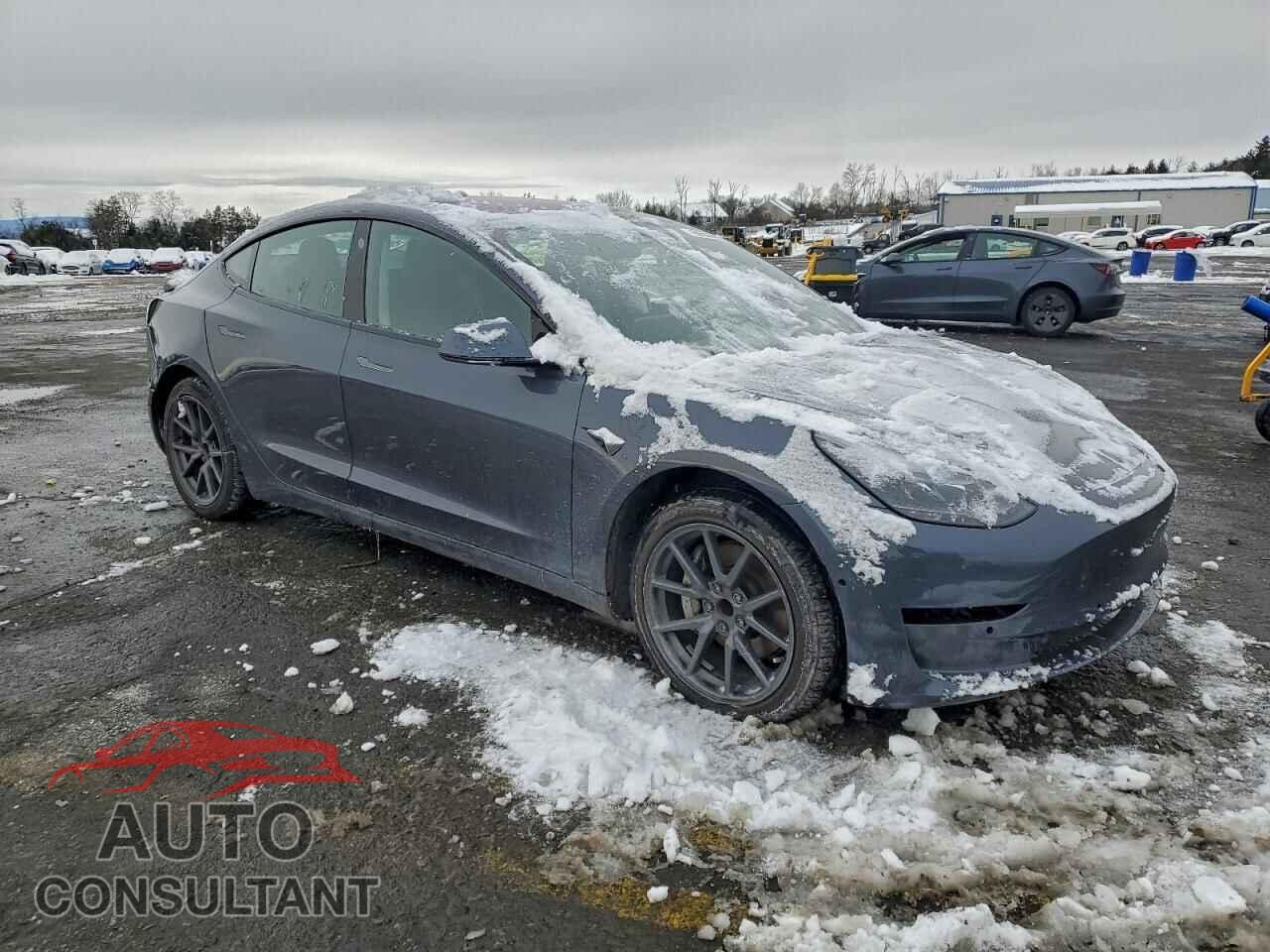 TESLA MODEL 3 2019 - 5YJ3E1EA8KF298257