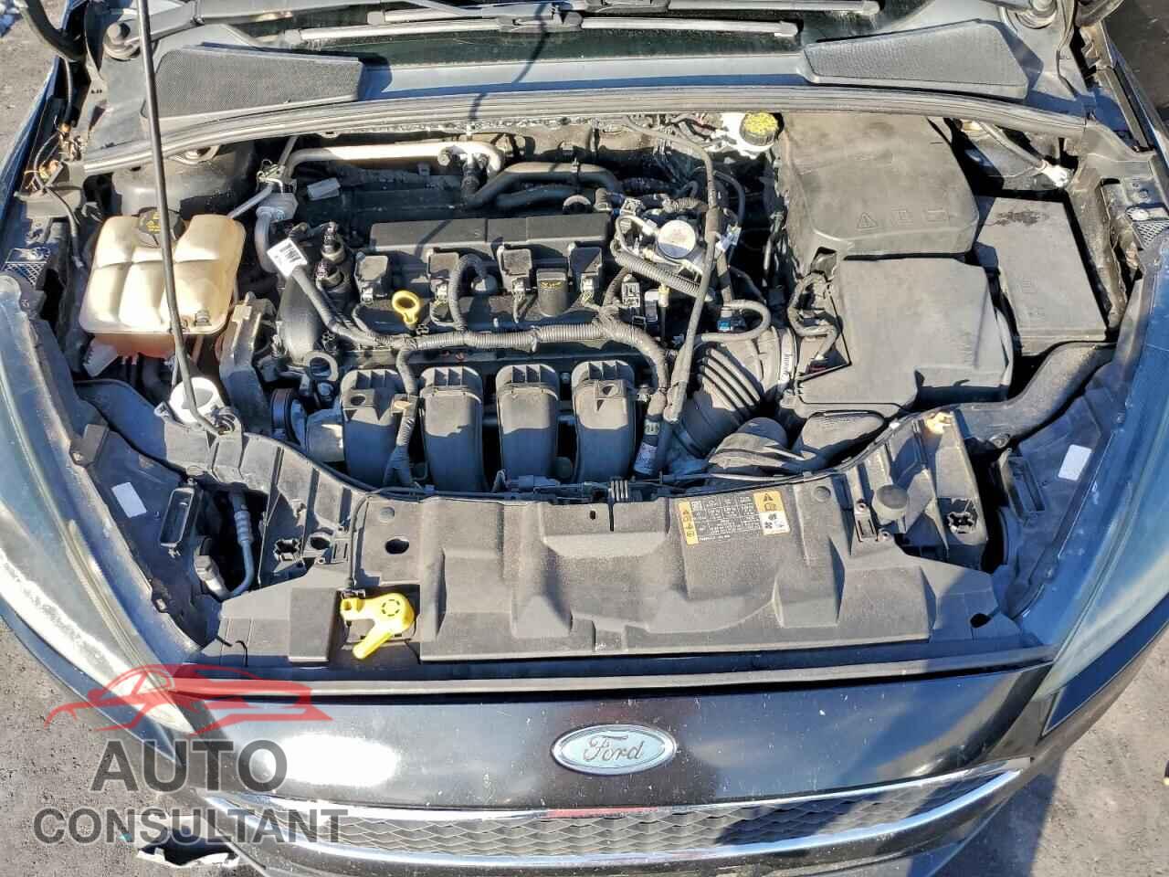 FORD FOCUS 2016 - 1FADP3K28GL402439