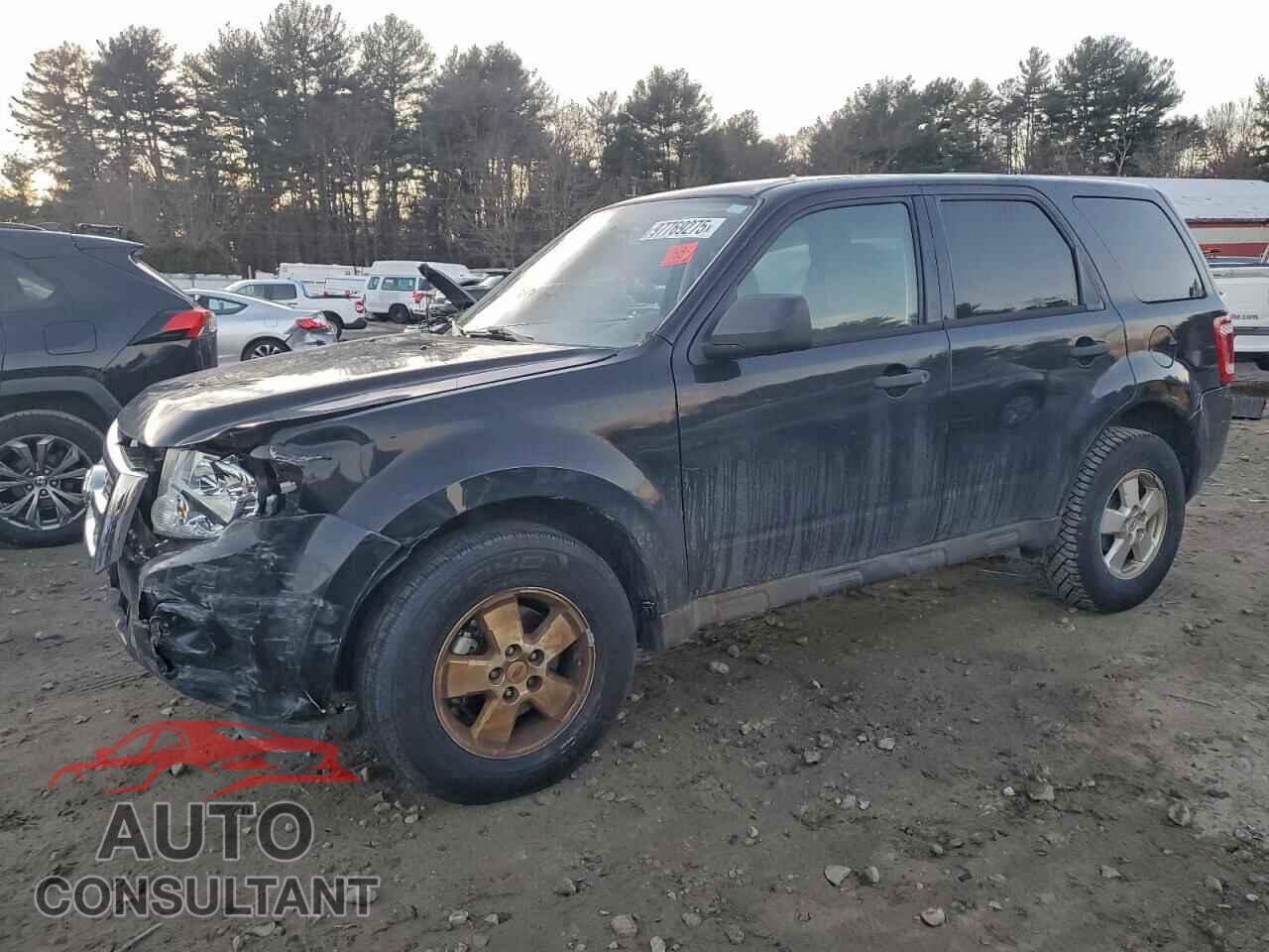 FORD ESCAPE 2011 - 1FMCU0C78BKA09333