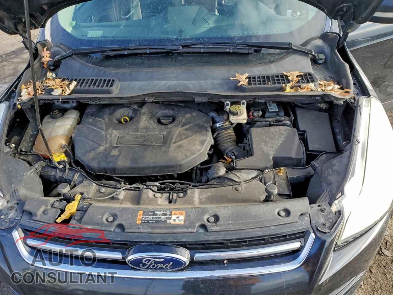 FORD ESCAPE 2014 - 1FMCU9J95EUD85683