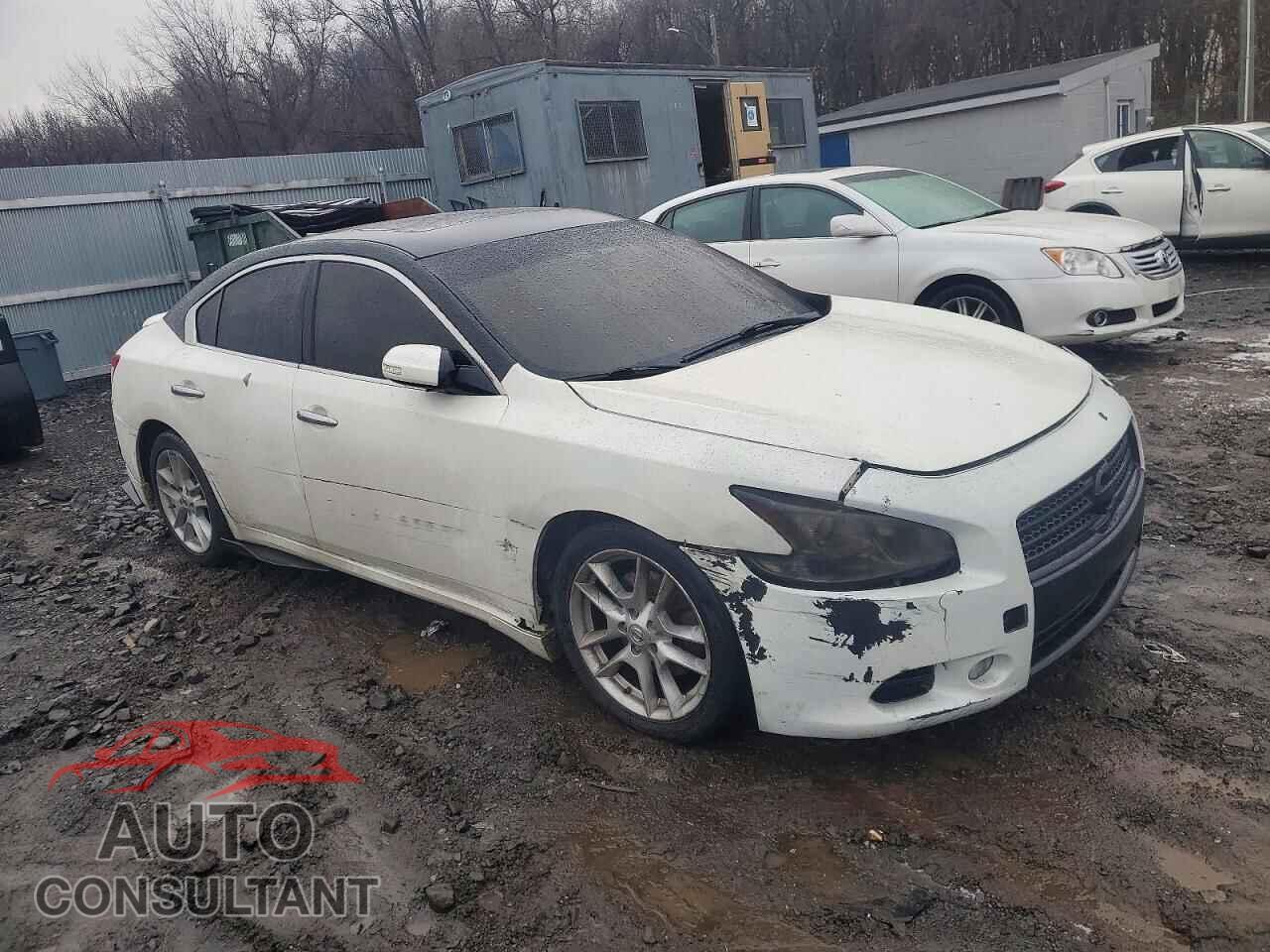 NISSAN MAXIMA 2010 - 1N4AA5AP1AC812164