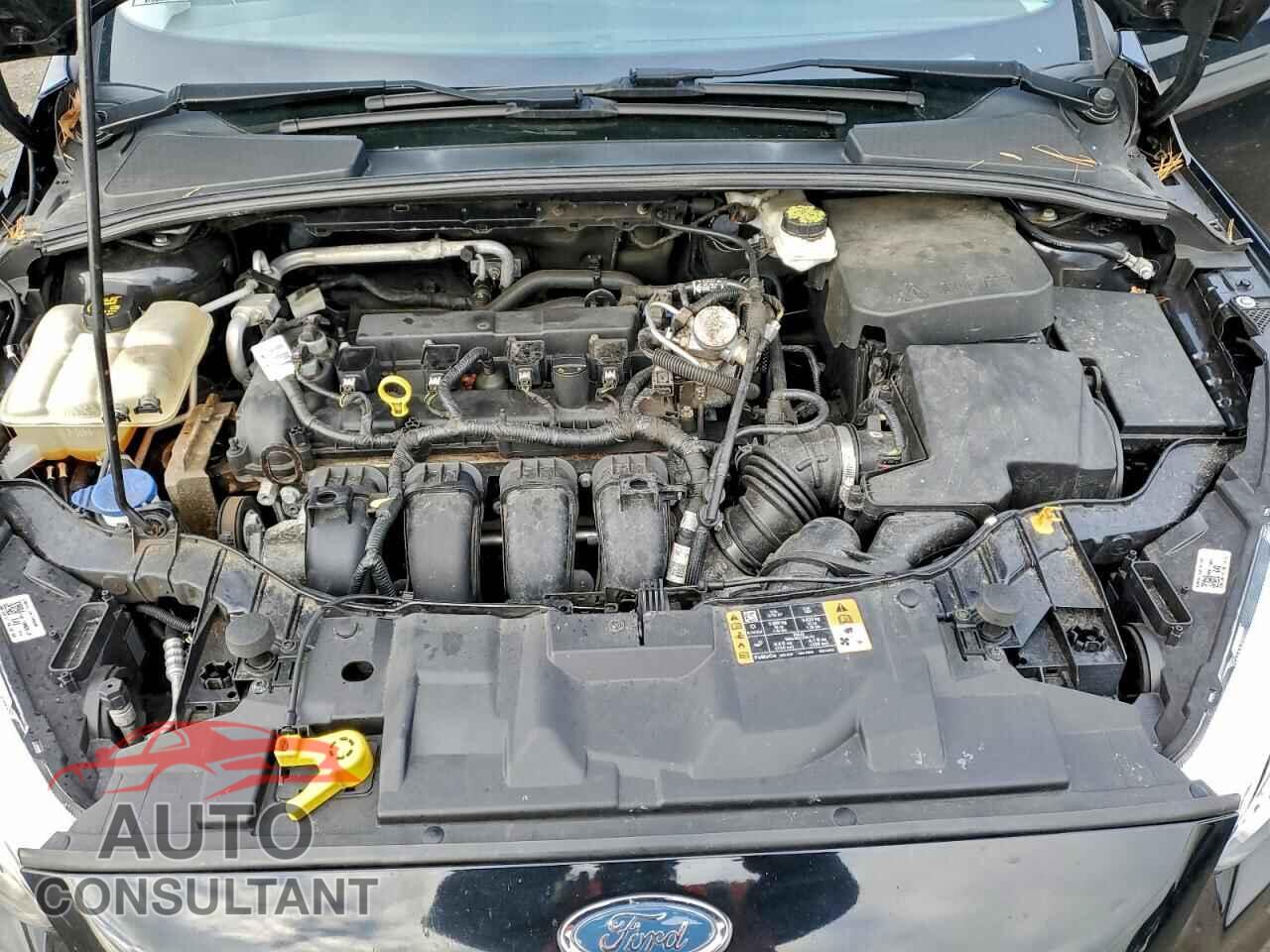 FORD FOCUS 2017 - 1FADP3K29HL326523