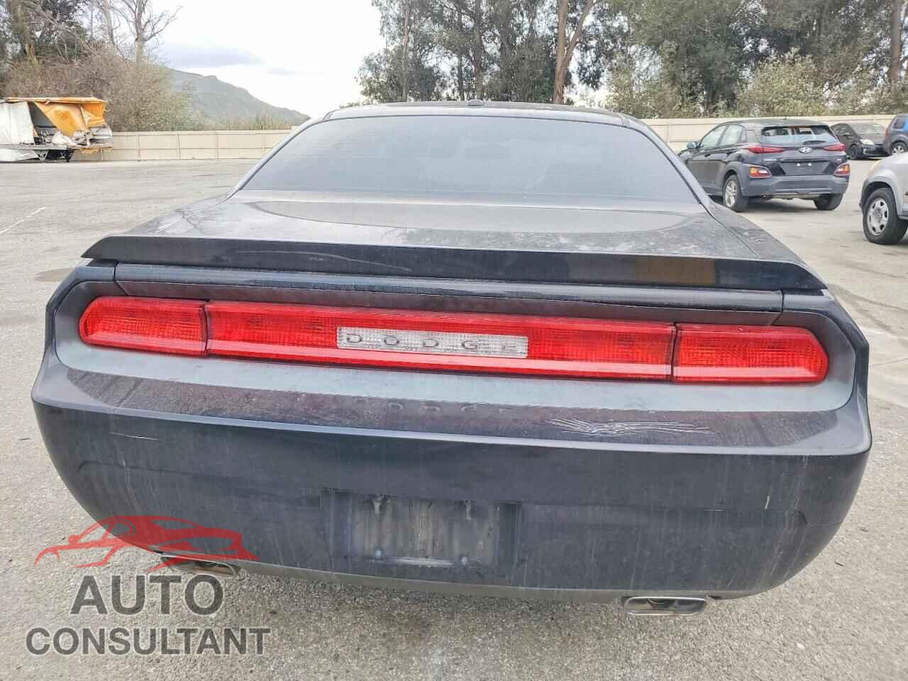 DODGE CHALLENGER 2009 - 2B3LJ54T29H558521