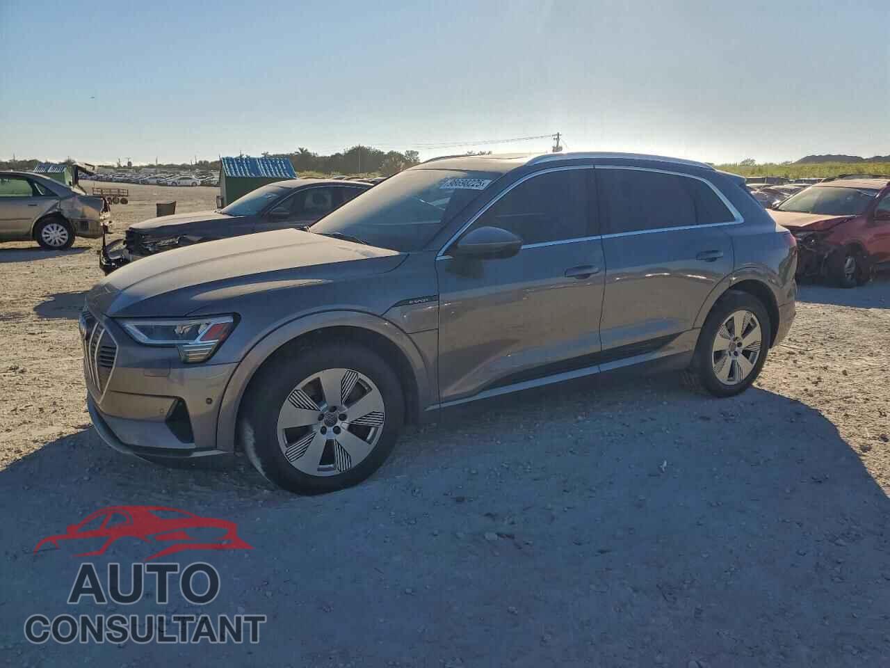 AUDI E-TRON 2019 - WA1LAAGE3KB019662