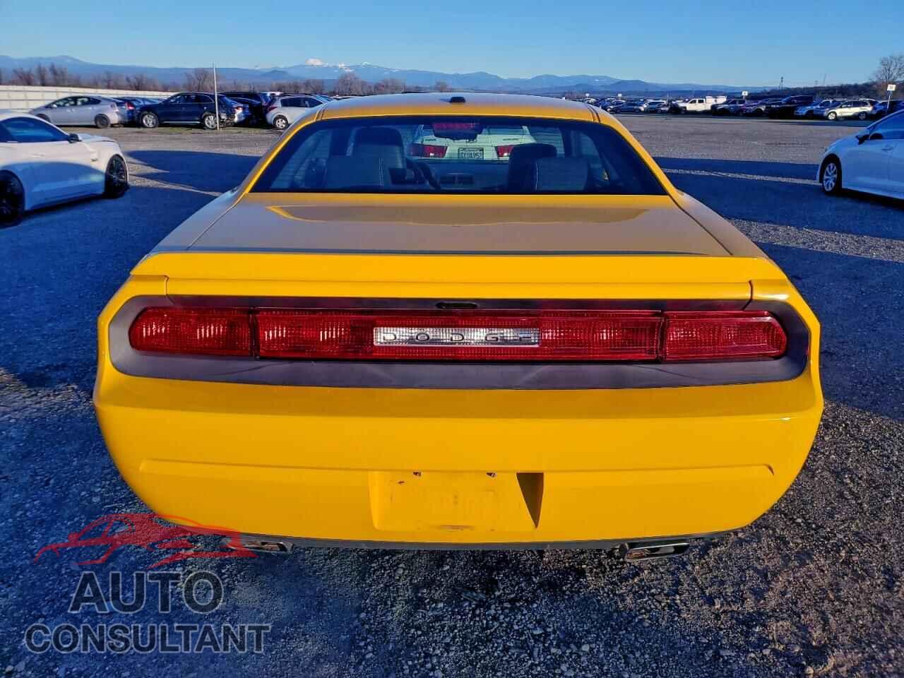 DODGE CHALLENGER 2012 - 2C3CDYBT8CH316063