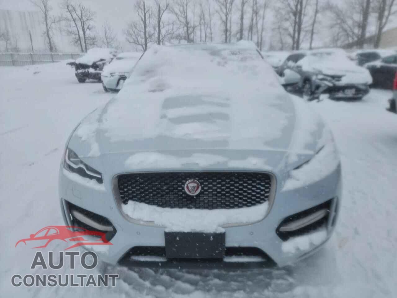 JAGUAR F-PACE 2017 - SADCL2BV8HA882649