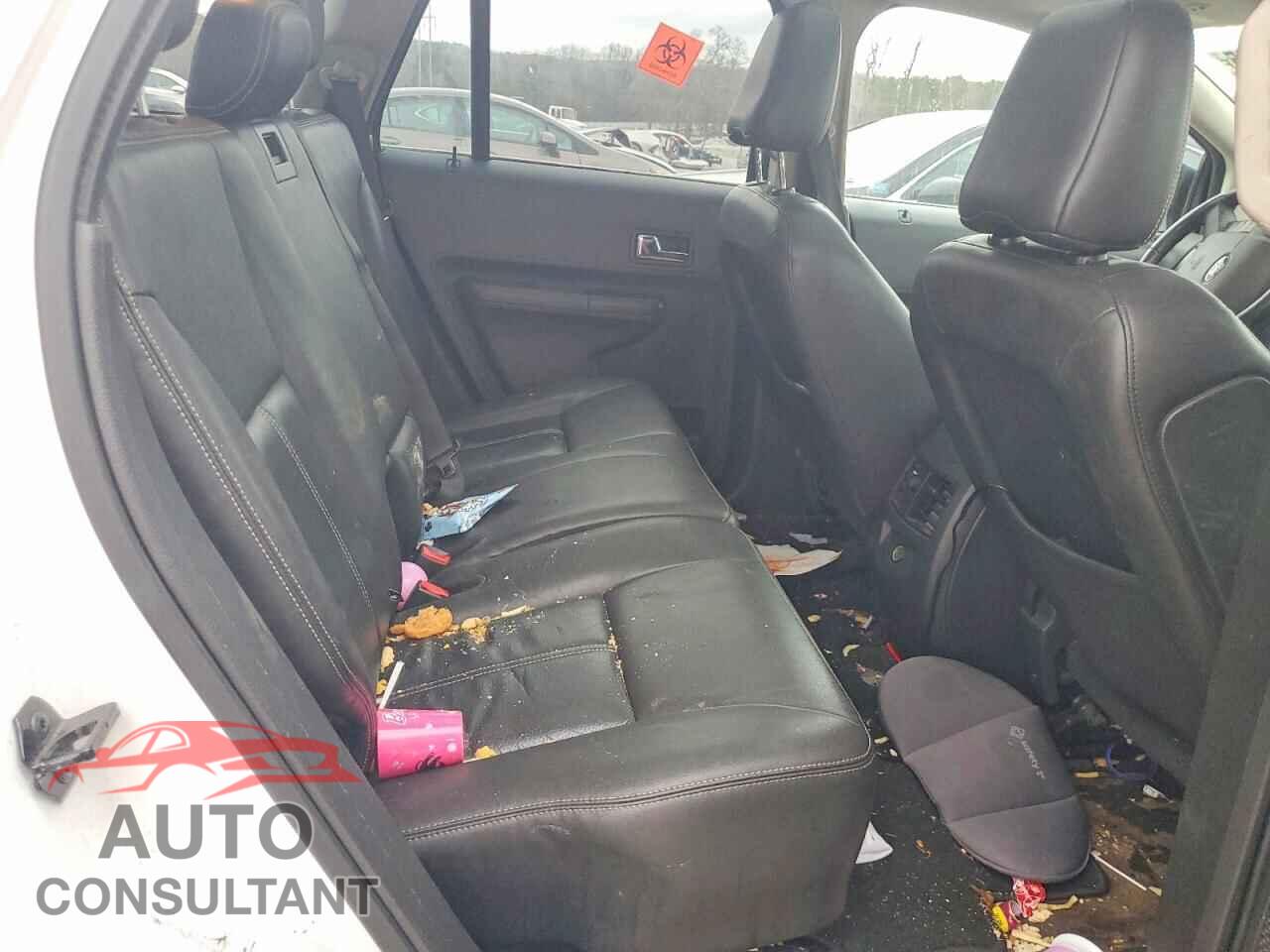 FORD EDGE 2009 - 2FMDK39C19BA88350