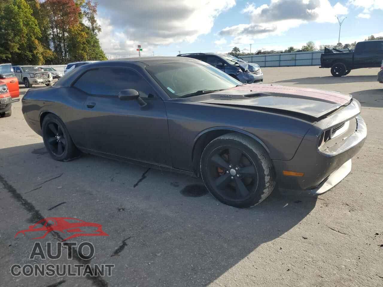 DODGE CHALLENGER 2013 - 2C3CDYBT3DH712595