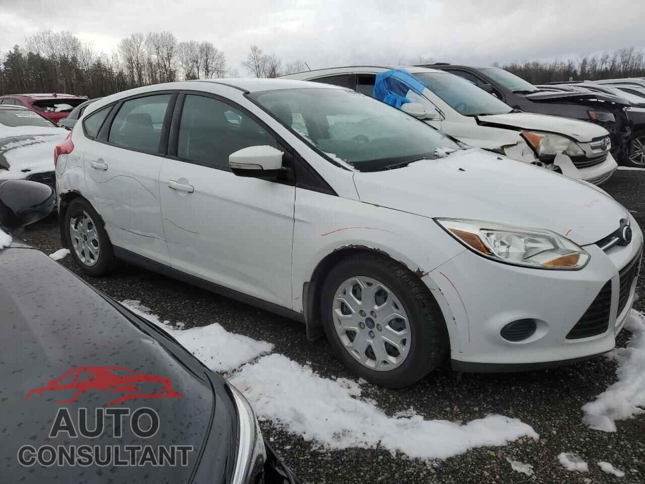 FORD FOCUS 2014 - 1FADP3K27EL356888