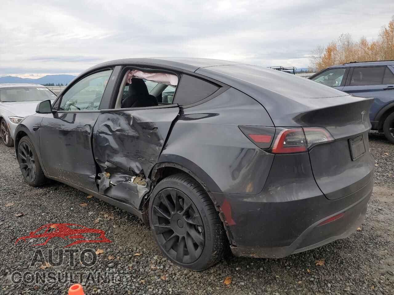 TESLA MODEL Y 2024 - 7SAYGDEE9RF067708
