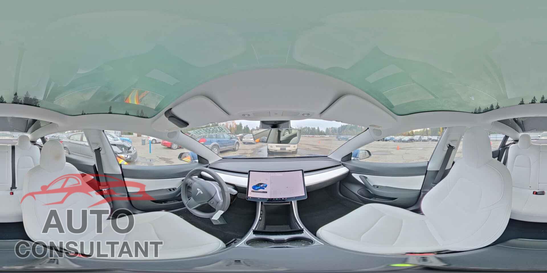 TESLA MODEL 3 2020 - 5YJ3E1EA7LF718057