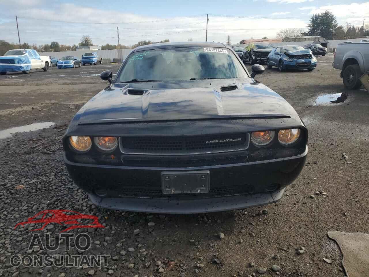 DODGE CHALLENGER 2014 - 2C3CDYAG4EH211849