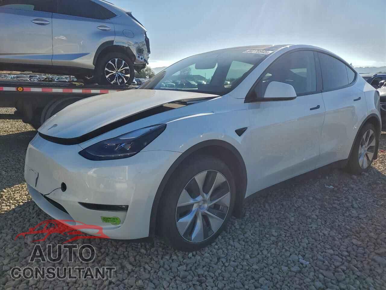 TESLA MODEL Y 2023 - 7SAYGAEE2PF628651