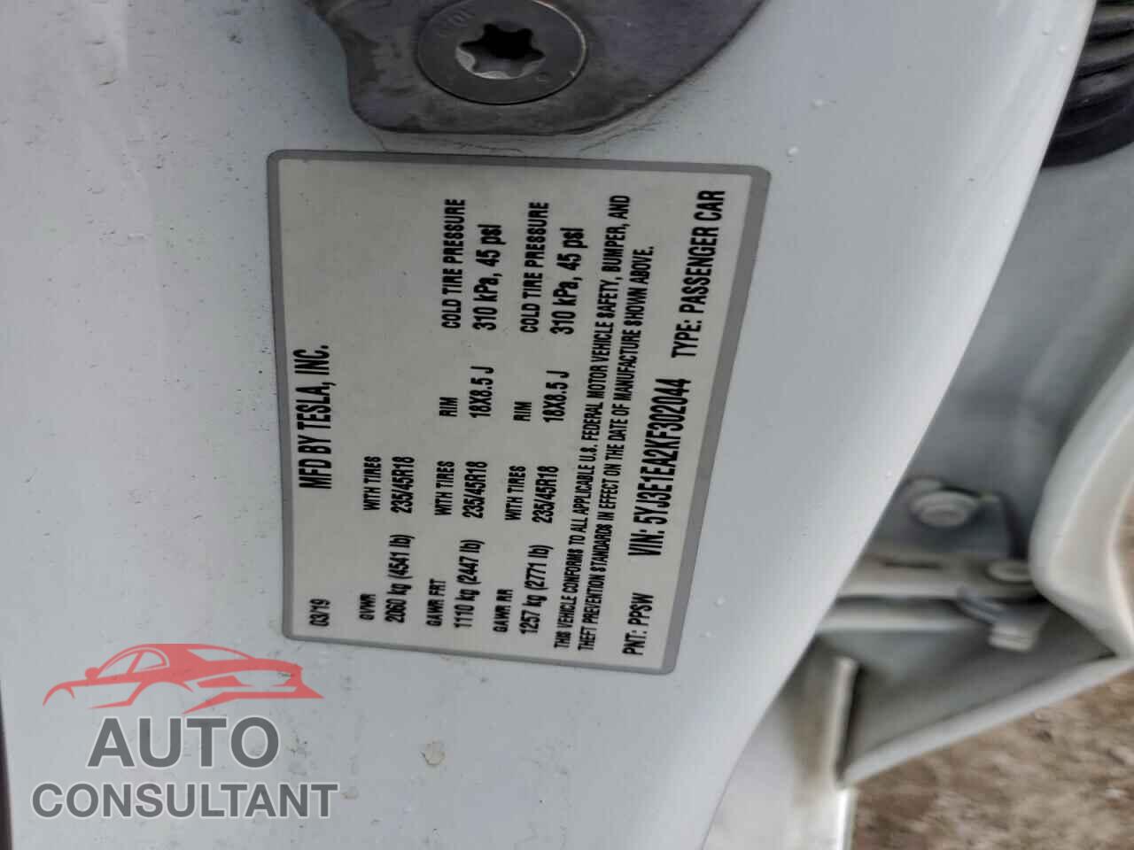 TESLA MODEL 3 2019 - 5YJ3E1EA2KF302044
