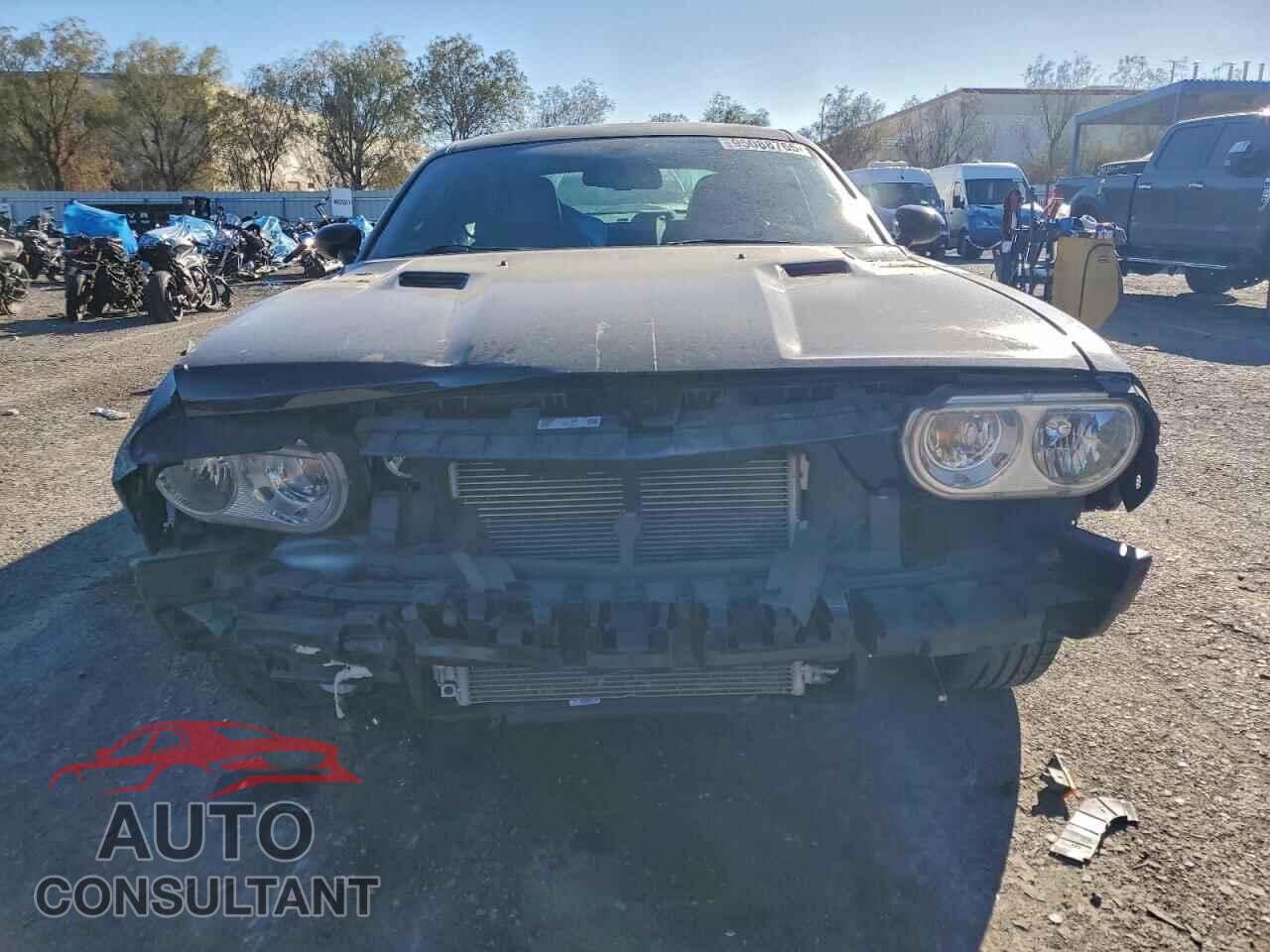 DODGE CHALLENGER 2014 - 2C3CDYBTXEH312096