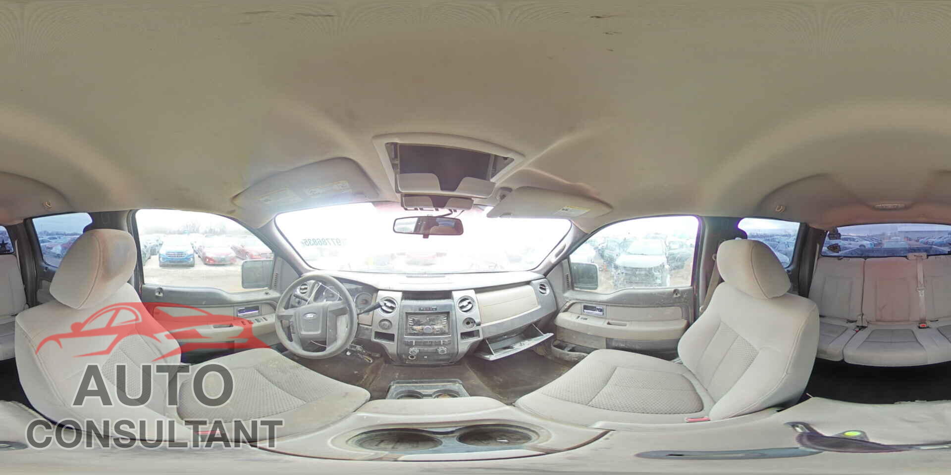 FORD F-150 2010 - 1FTEW1E86AFB02412
