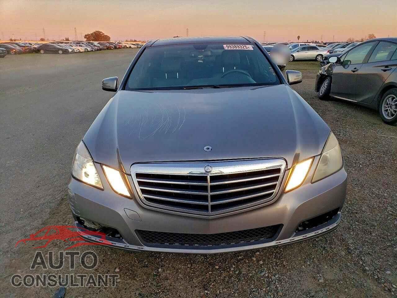 MERCEDES-BENZ E-CLASS 2010 - WDDHF5GB8AA230179