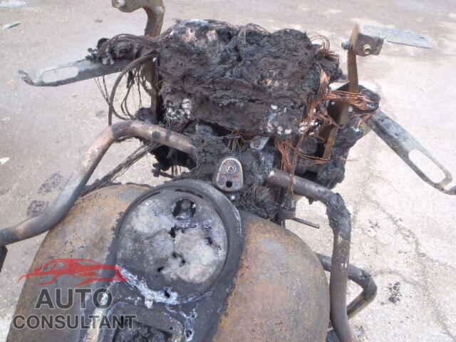 HARLEY-DAVIDSON FL 2009 - 1HD1MAM149Y851376