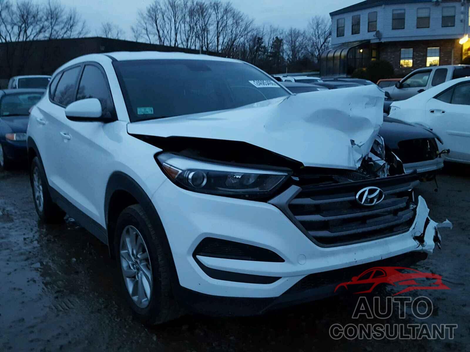 HYUNDAI TUCSON 2016 - KM8J23A44GU237476