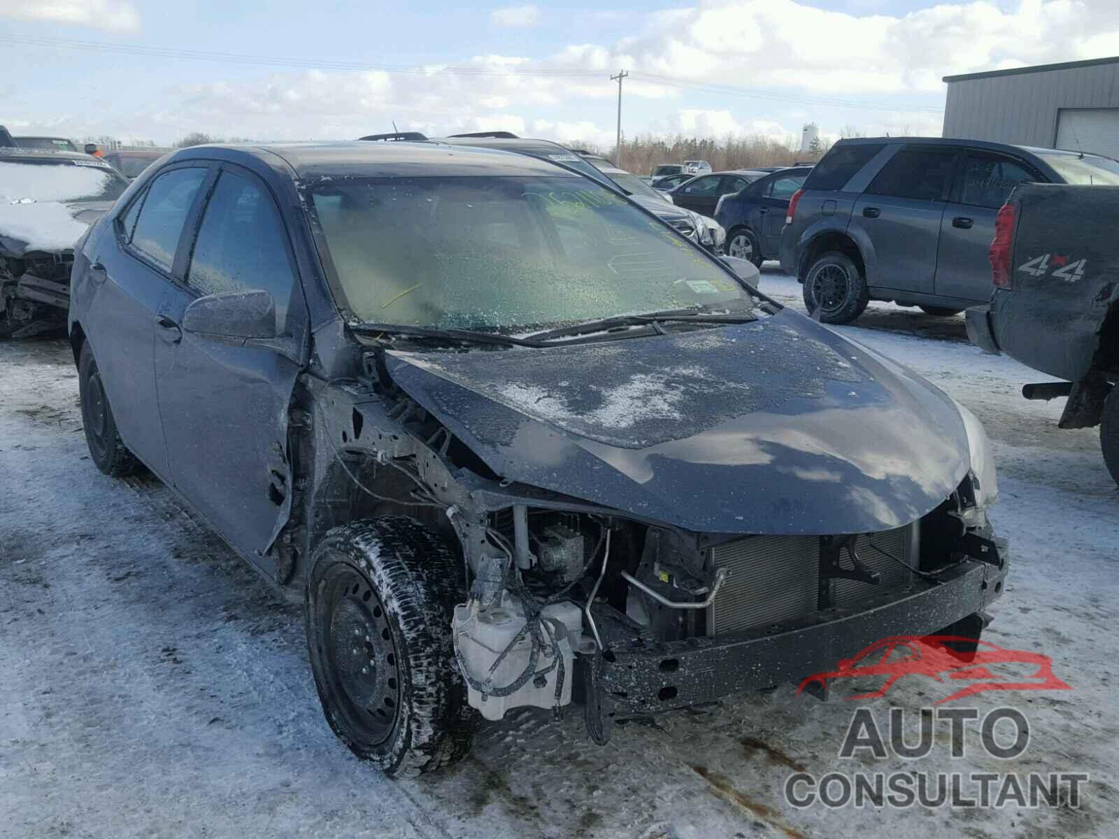 TOYOTA COROLLA 2016 - 2T1BURHE6GC501301