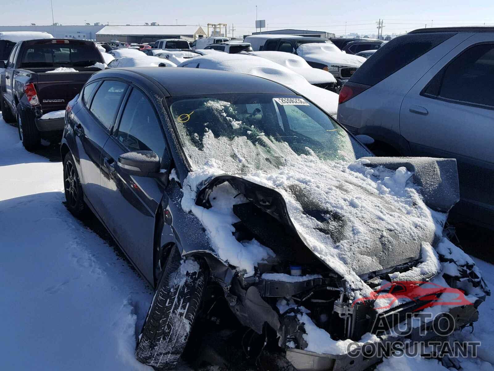 FORD FOCUS 2016 - 1FADP3K23GL339573