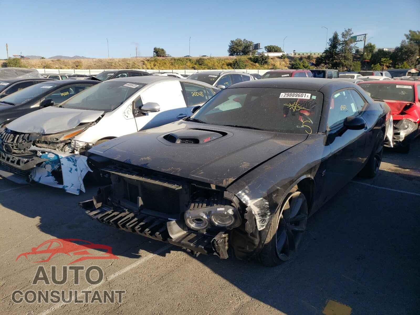 DODGE CHALLENGER 2019 - 3C4NJCBB2KT802896