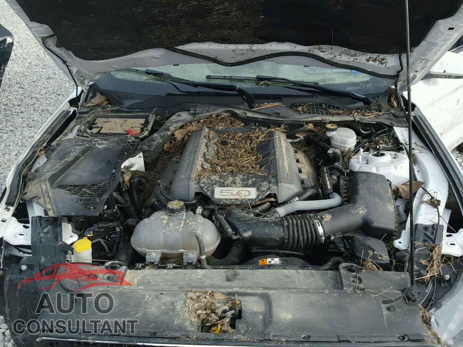 FORD MUSTANG 2016 - 1FA6P8CF3G5266667