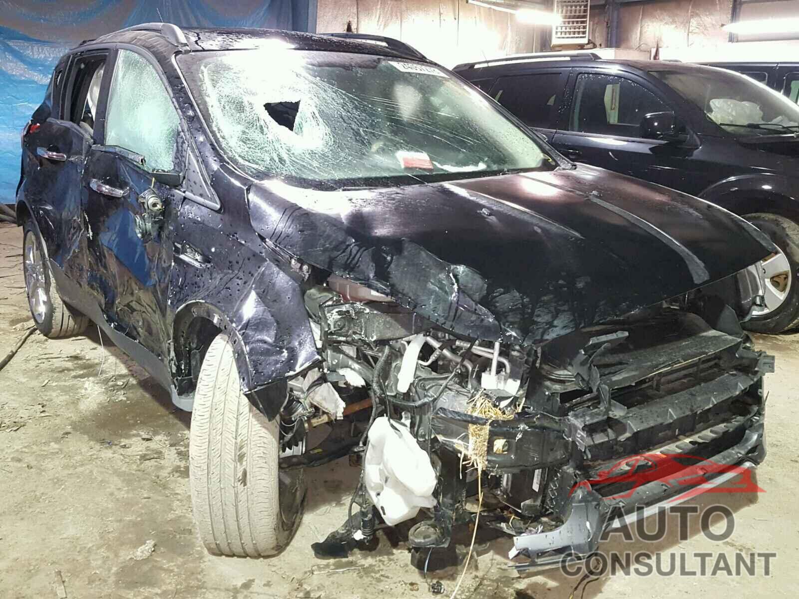 FORD ESCAPE 2016 - 1FMCU0G70GUA94738