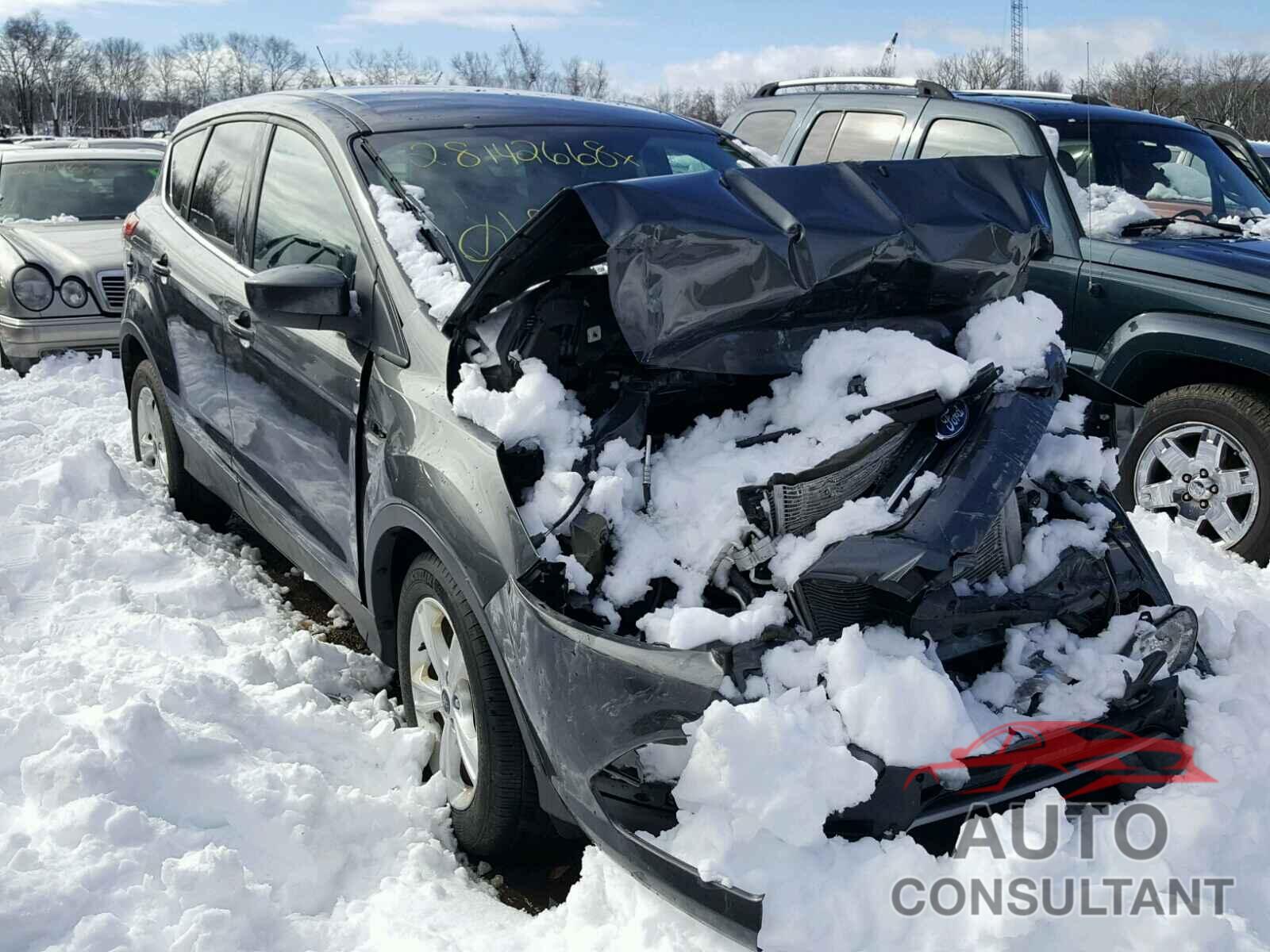 FORD ESCAPE 2016 - 1FMCU0G74GUB83888