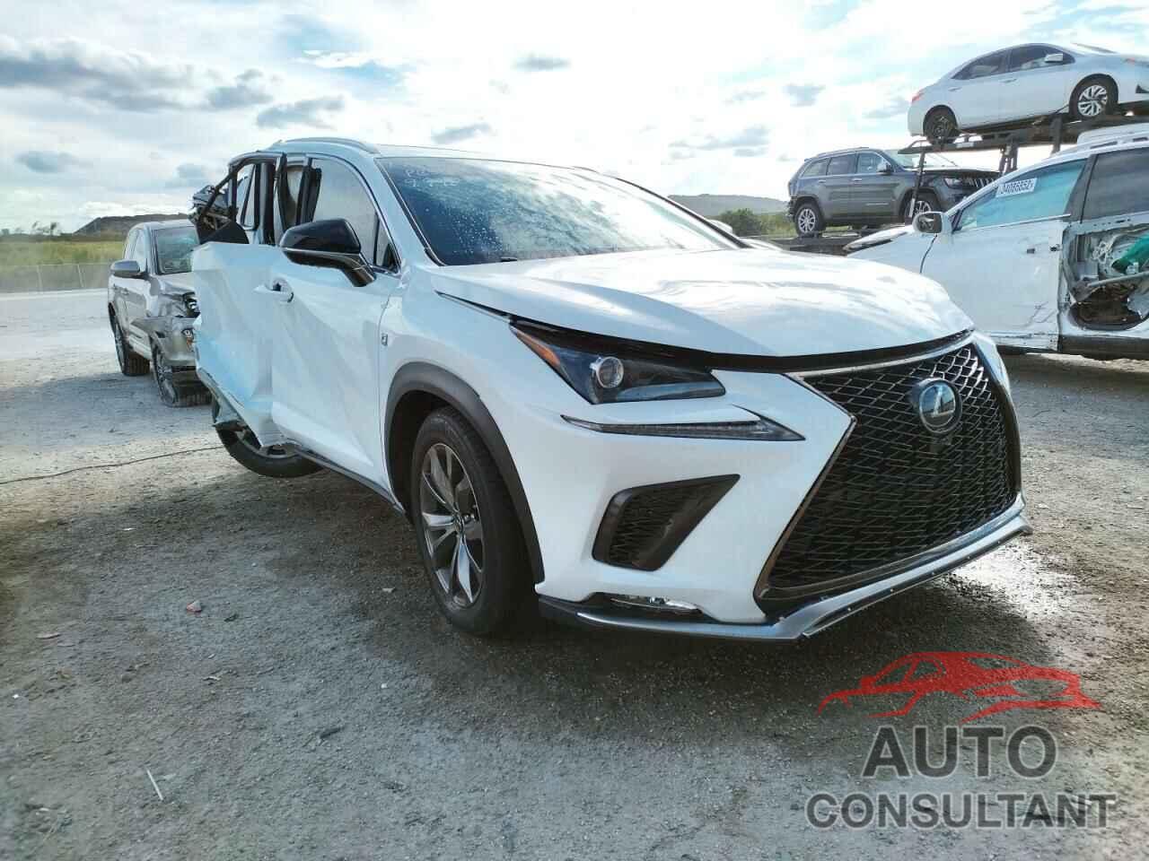 LEXUS NX 2020 - JTJSARBZXL5016622