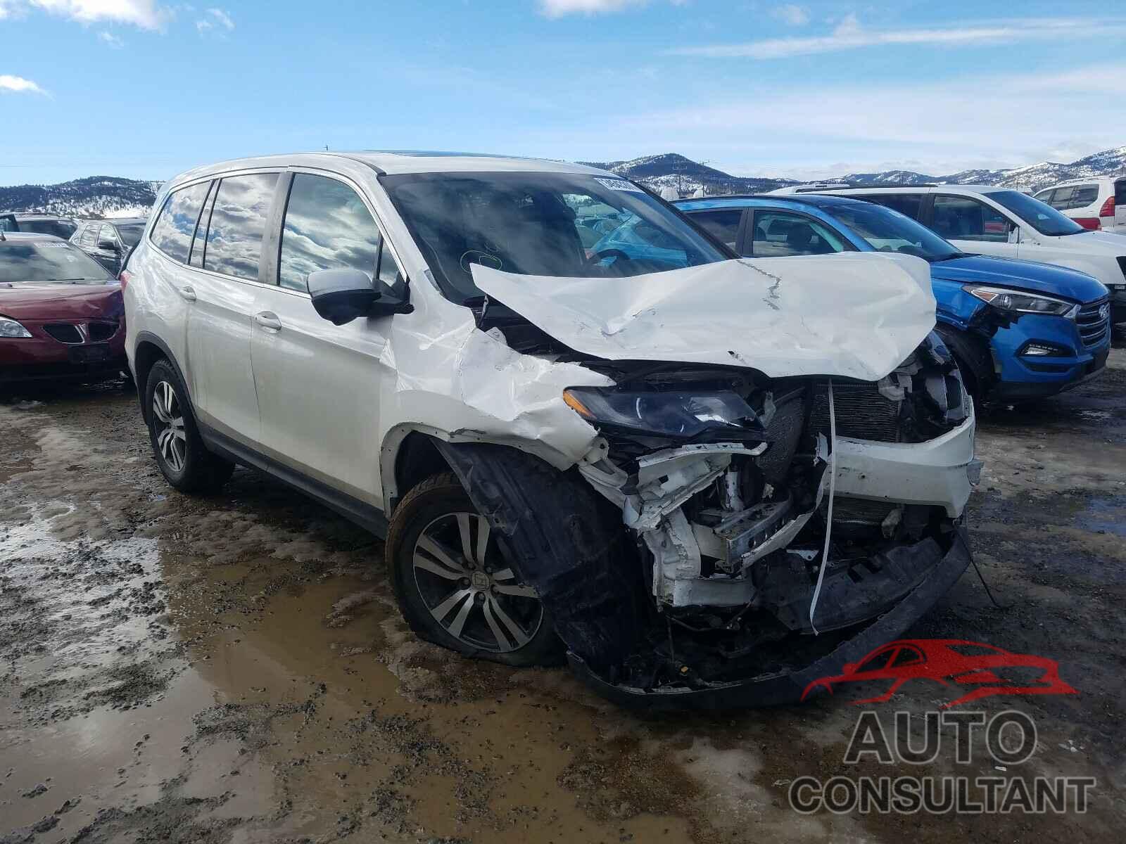 HONDA PILOT 2016 - 5FNYF6H54GB046348