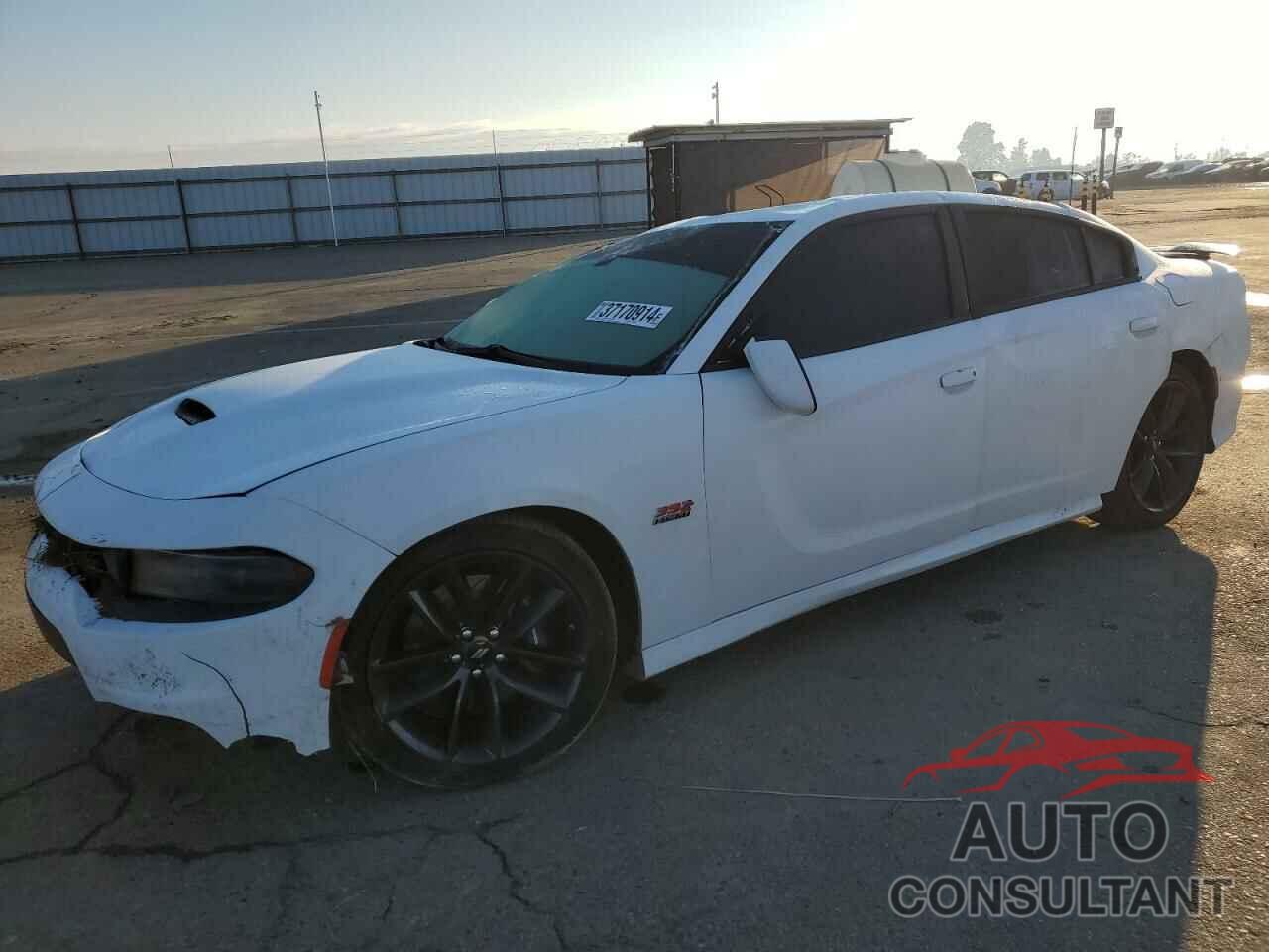 DODGE CHARGER 2019 - 2C3CDXGJ3KH554077