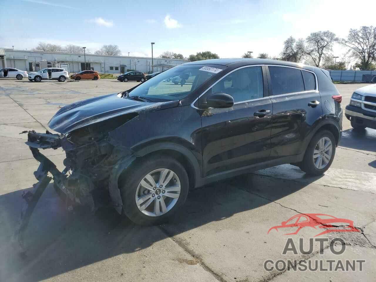 KIA SPORTAGE 2017 - KNDPM3AC1H7218089
