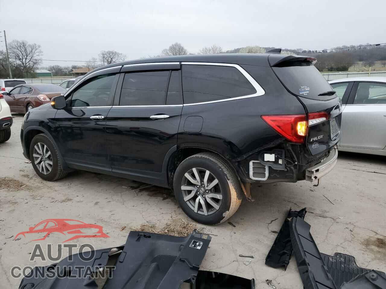 HONDA PILOT 2019 - 5FNYF5H53KB042004