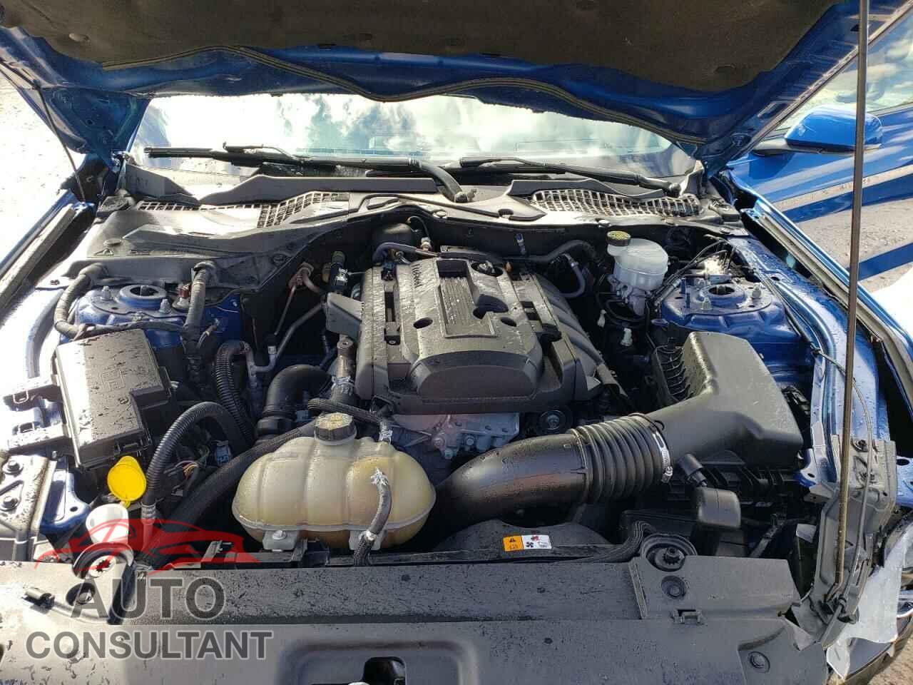 FORD MUSTANG 2017 - 1FA6P8TH9H5356943