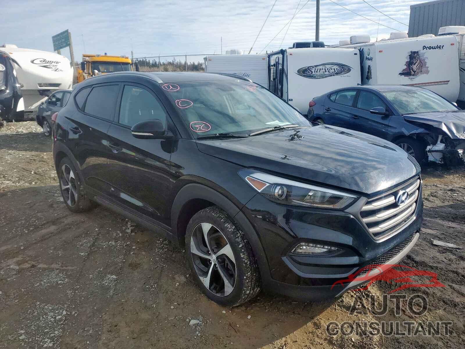 HYUNDAI TUCSON 2016 - KM8J3CA25GU082707