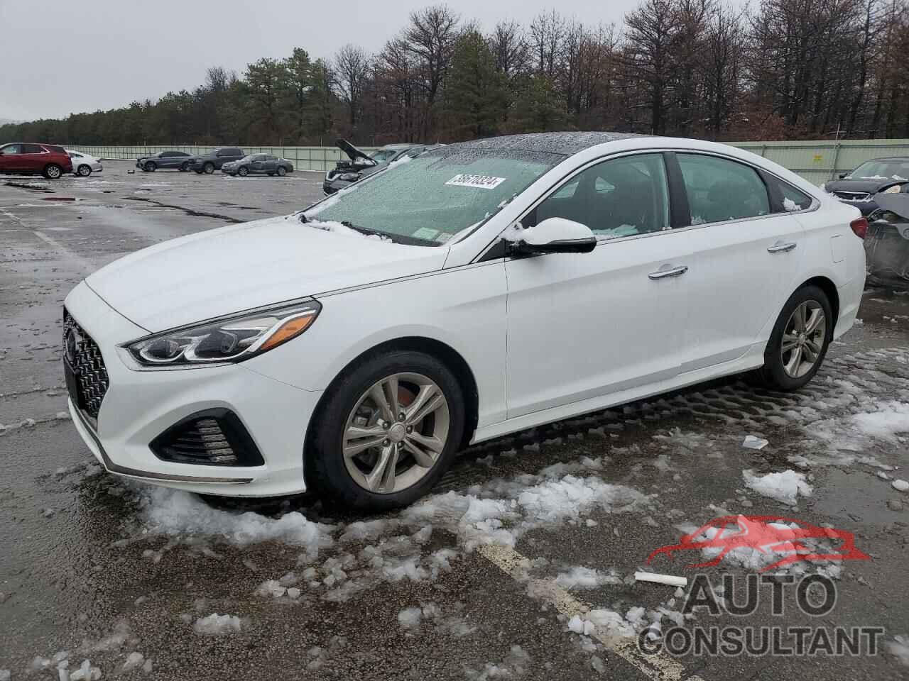 HYUNDAI SONATA 2019 - 5NPE34AF6KH738060