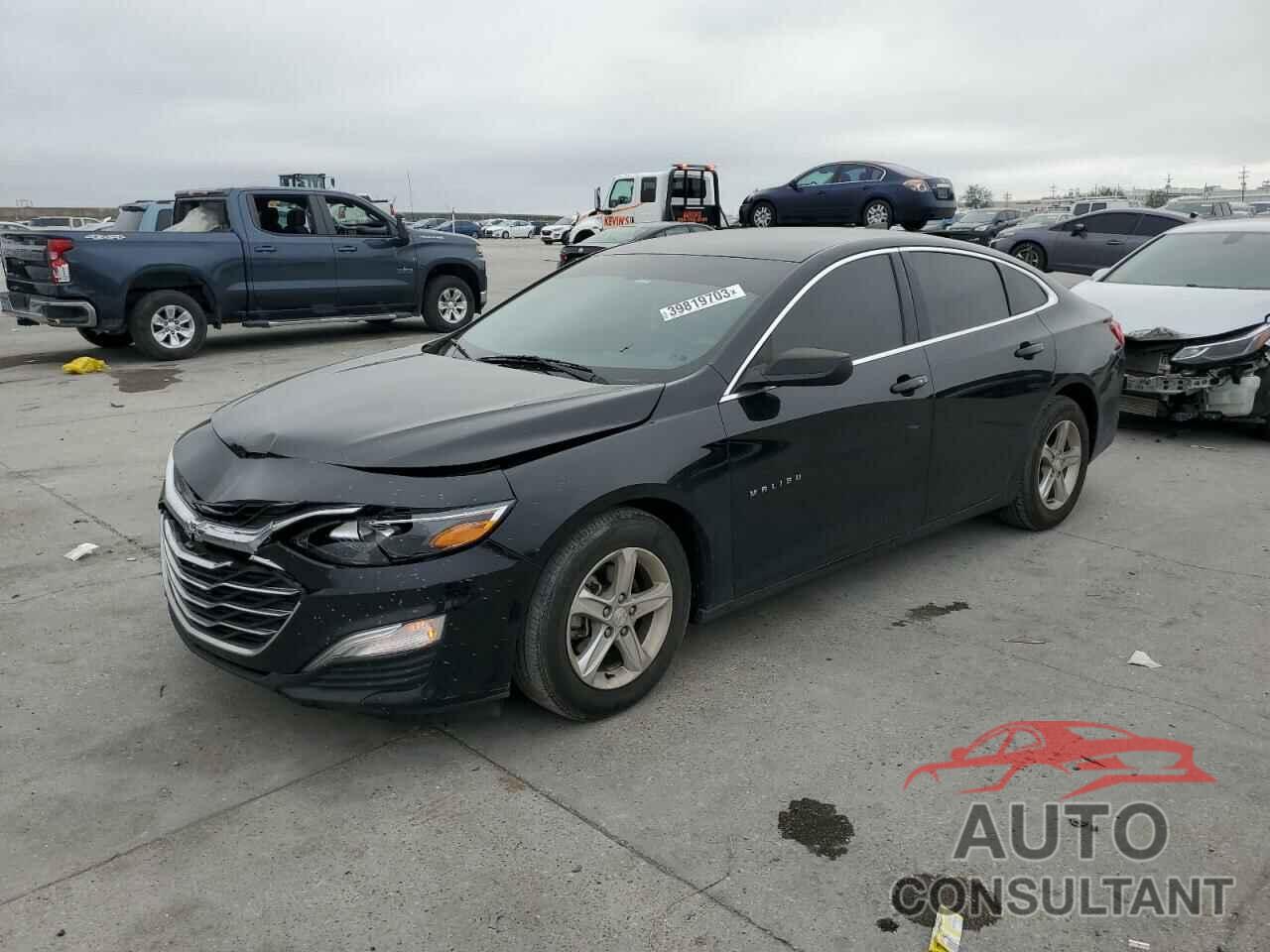 CHEVROLET MALIBU 2019 - 1G1ZB5ST3KF125122