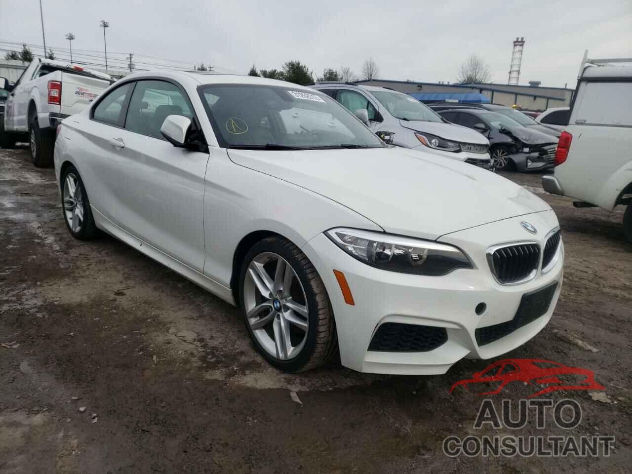 BMW 2 SERIES 2016 - WBA1F9C52GV546274