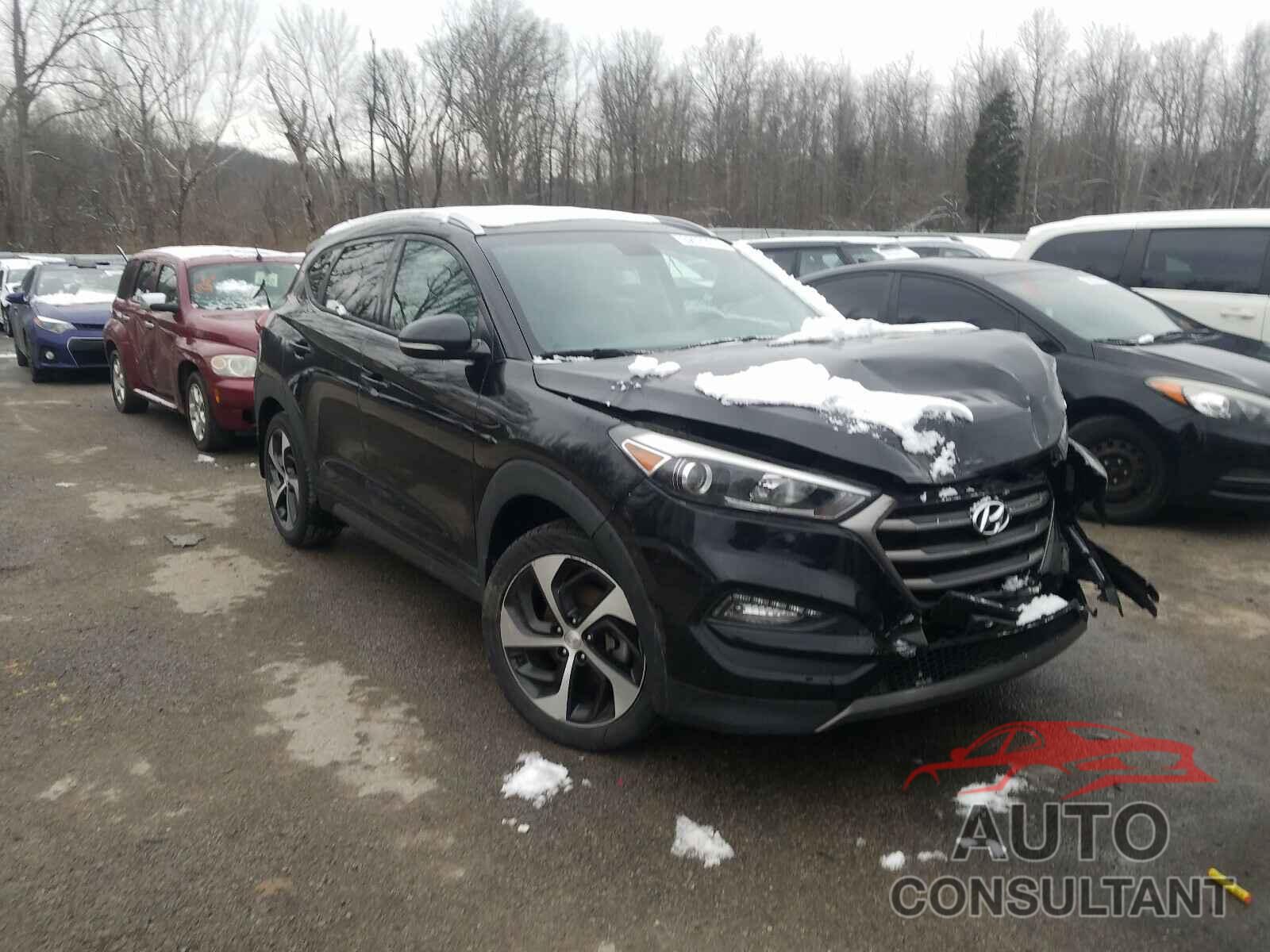 HYUNDAI TUCSON 2016 - KM8J33A28GU089991