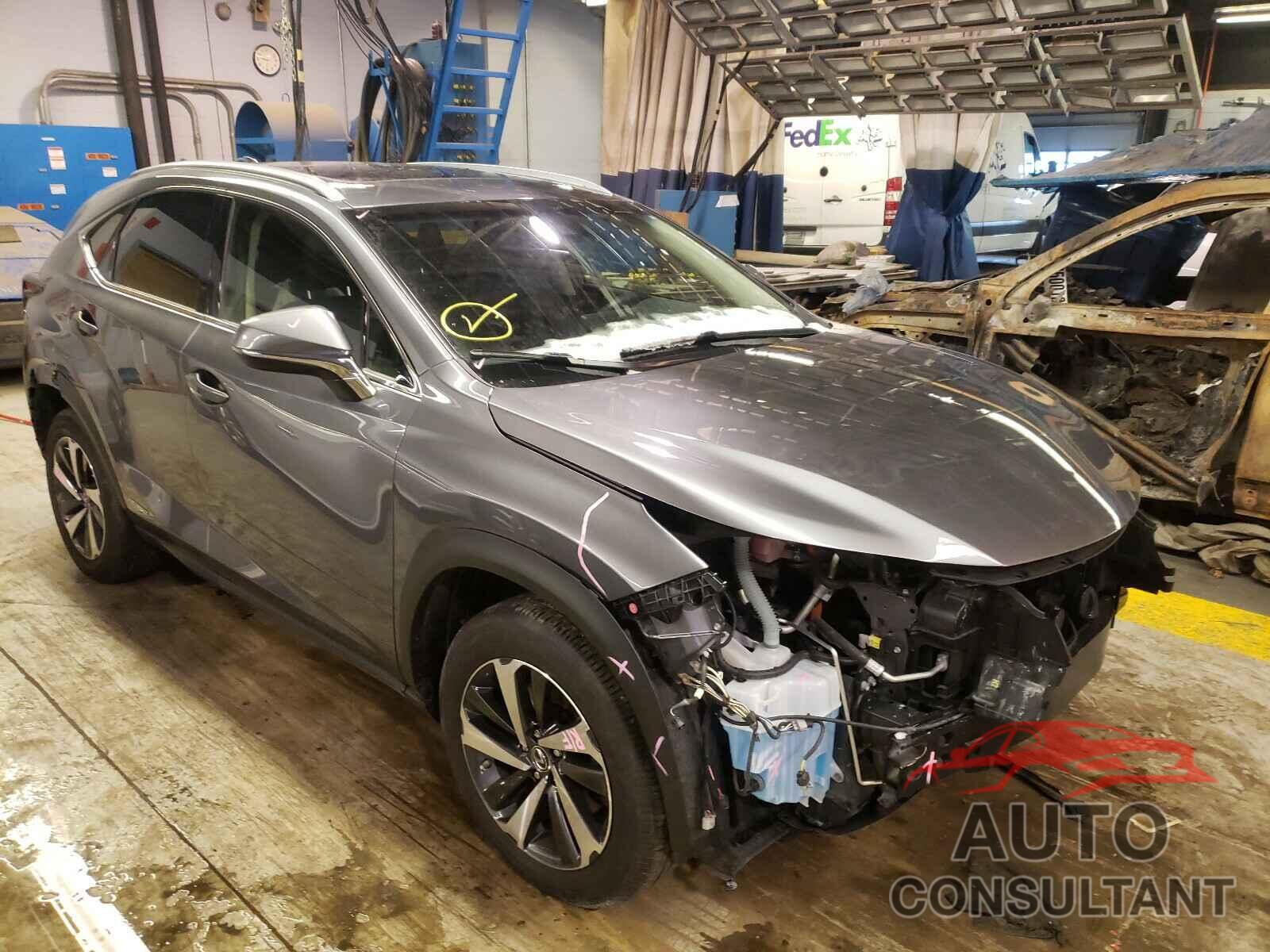 LEXUS NX 2019 - JTJBJRBZ5K2099909