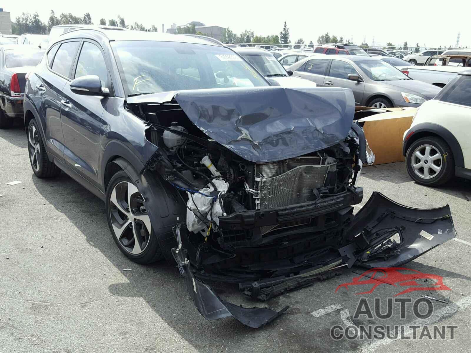 HYUNDAI TUCSON 2016 - KM8J33A28GU033842