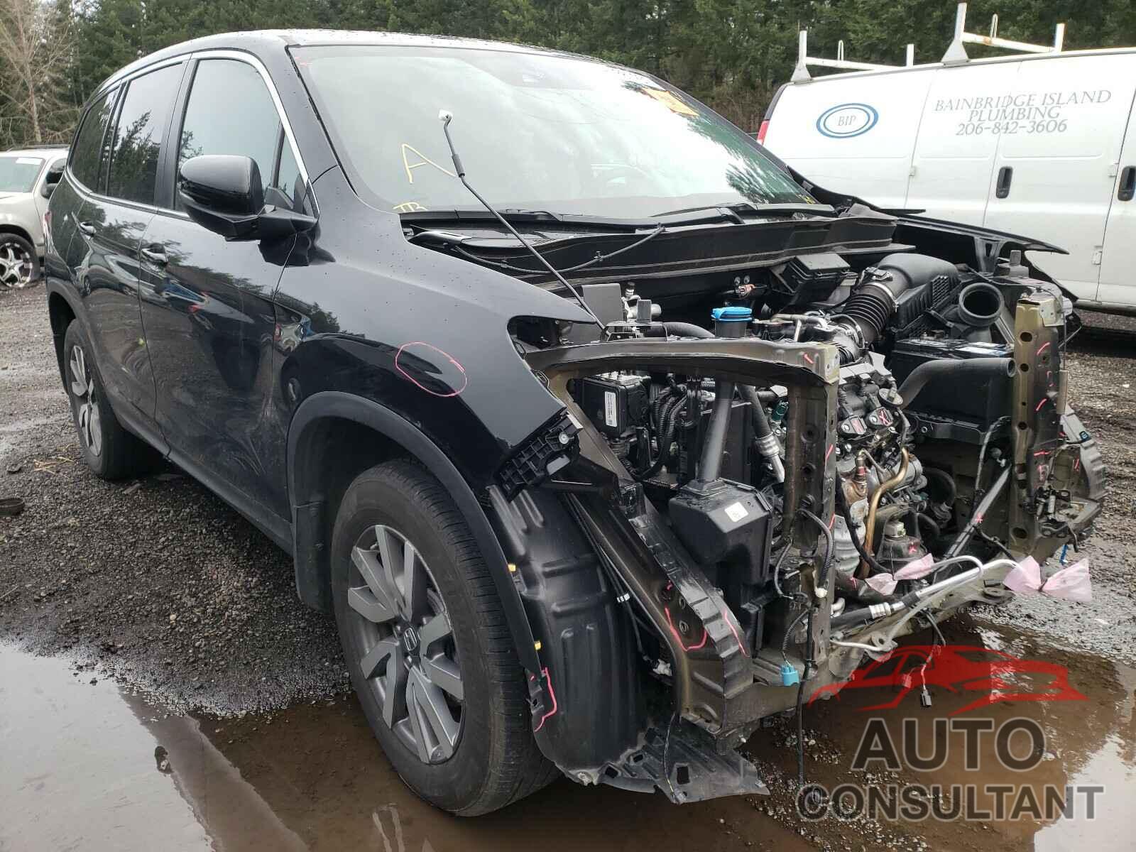 HONDA PILOT 2019 - 5FNYF6H56KB051382