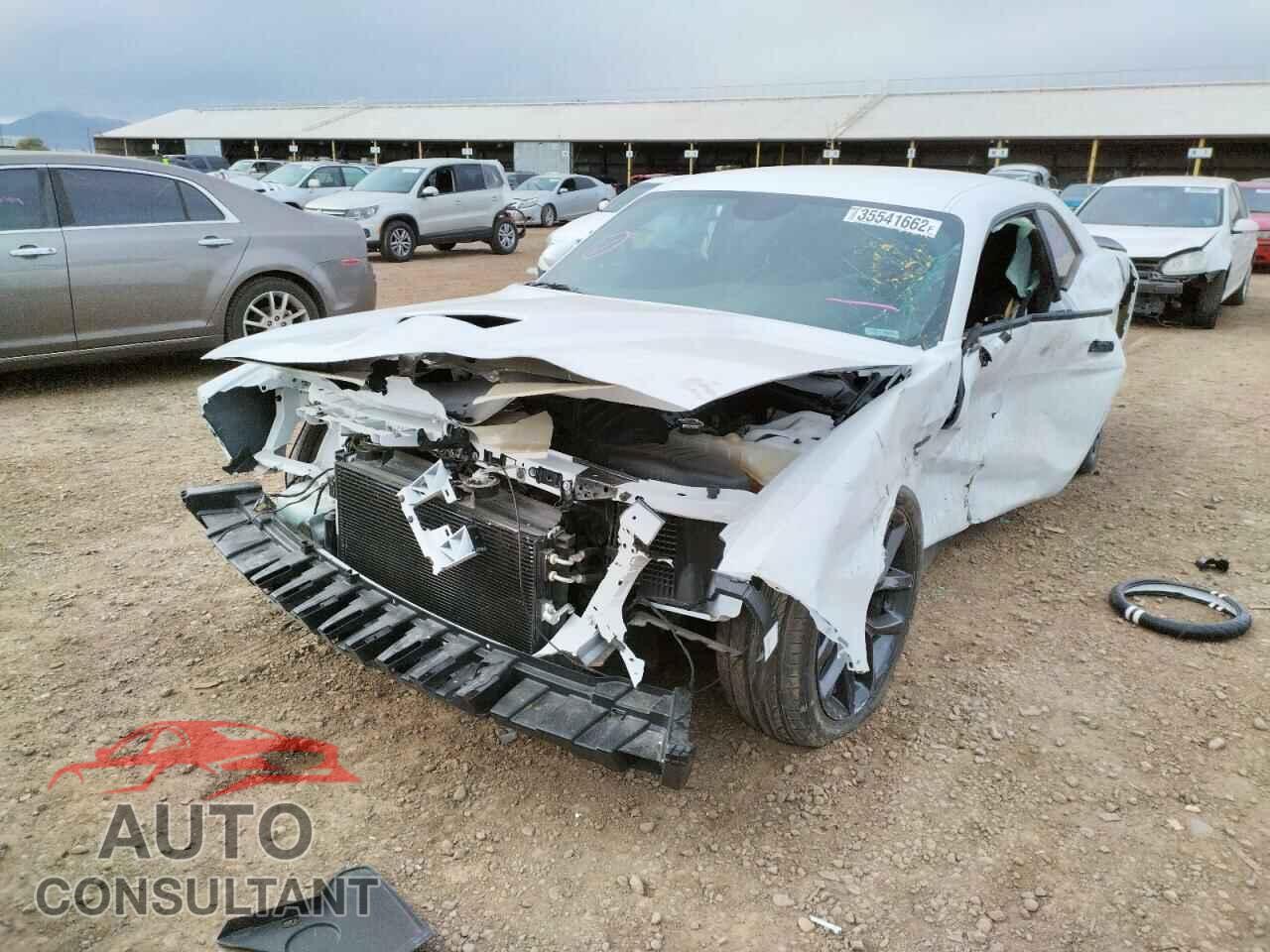 DODGE CHALLENGER 2019 - 2C3CDZBTXKH603683