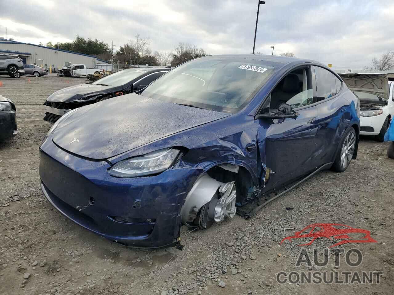 TESLA MODEL Y 2021 - 5YJYGDEE1MF204887