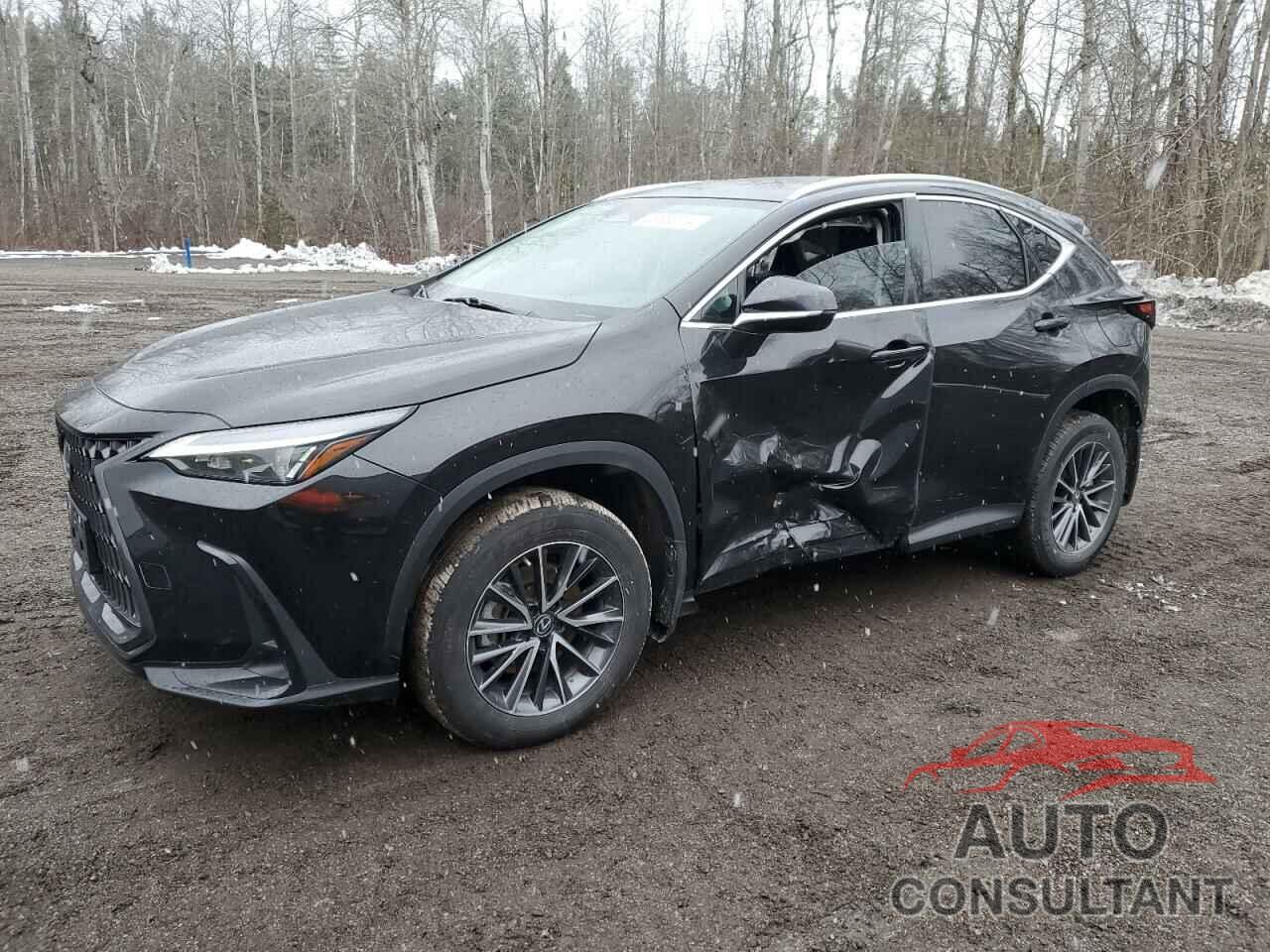 LEXUS NX 250 2023 - 2T2ADCEZ8PC003547