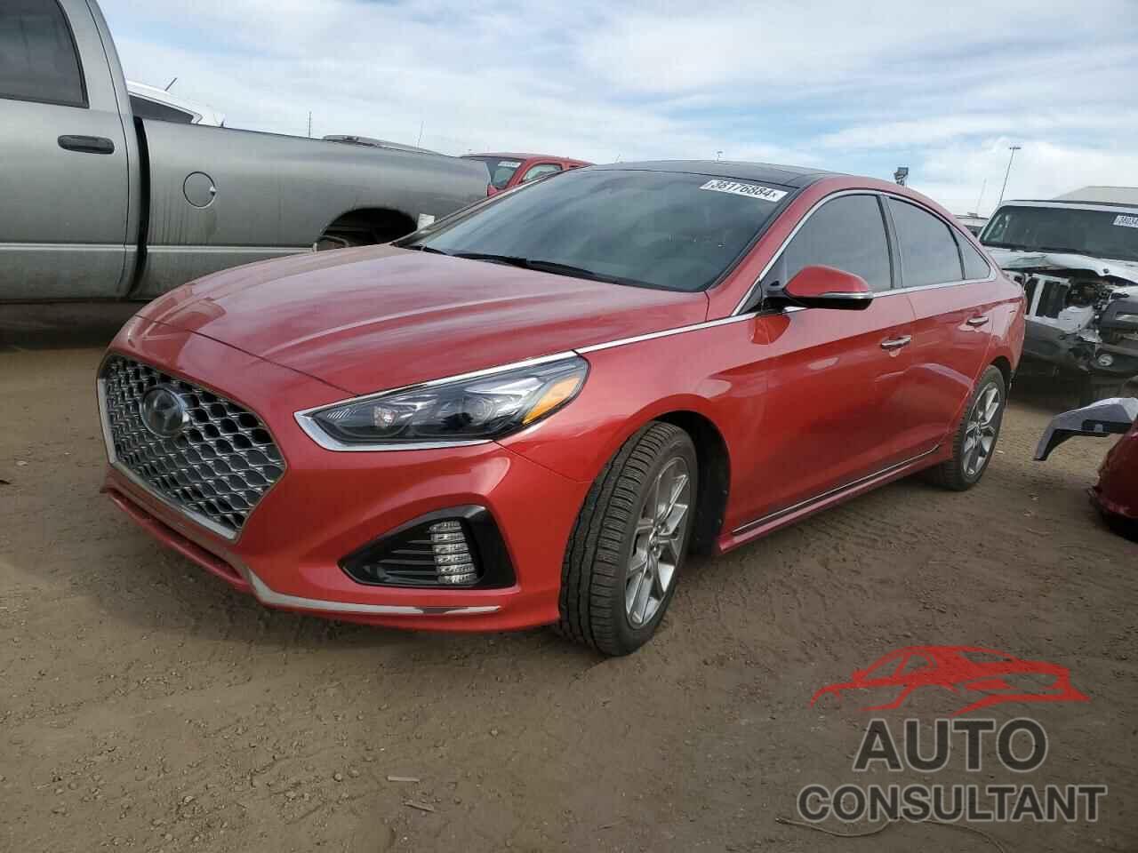 HYUNDAI SONATA 2019 - 5NPE34AB7KH802121