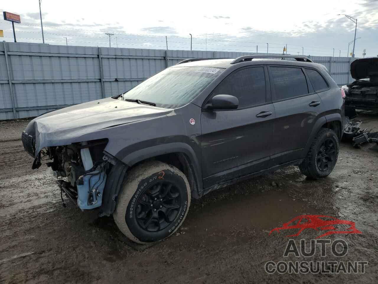 JEEP CHEROKEE 2019 - 1C4PJMBXXKD415724